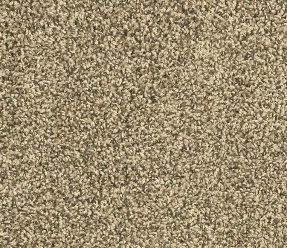 Light-toned medium-pile bedroom carpet sample